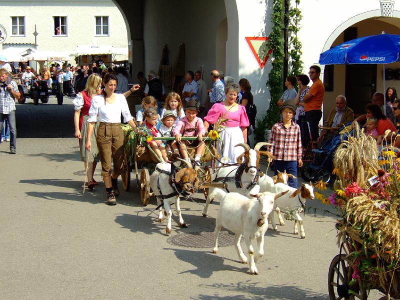 dorffest_rot07 (15).JPG